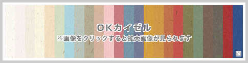 OKカイゼル