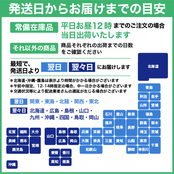 エーワン パソコン＆ワープロラベル プリンタ兼用 汎用インチ 100