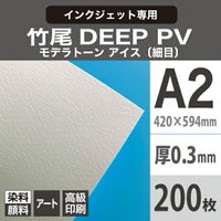 竹尾 DEEP PV モデラトーン アイス