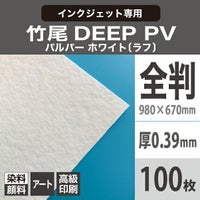 竹尾 DEEP PV パルパー ホワイト