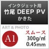 竹尾 DEEP PV かきた