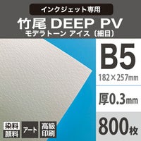 竹尾 DEEP PV モデラトーン アイス