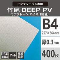 竹尾 DEEP PV モデラトーン アイス