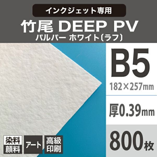 竹尾 DEEP PV パルパー ホワイト