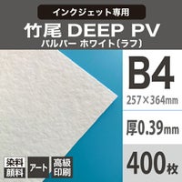 竹尾 DEEP PV パルパー ホワイト
