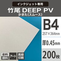 竹尾 DEEP PV かきた