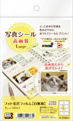 エーワン 写真シール高画質Large 29663