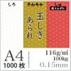 玉しき