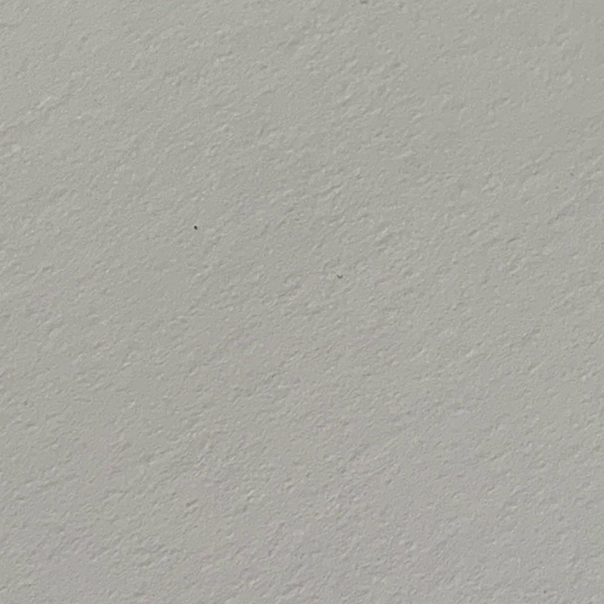 NTラシャ