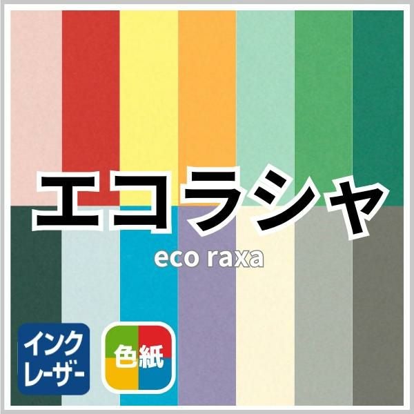 エコラシャの画像