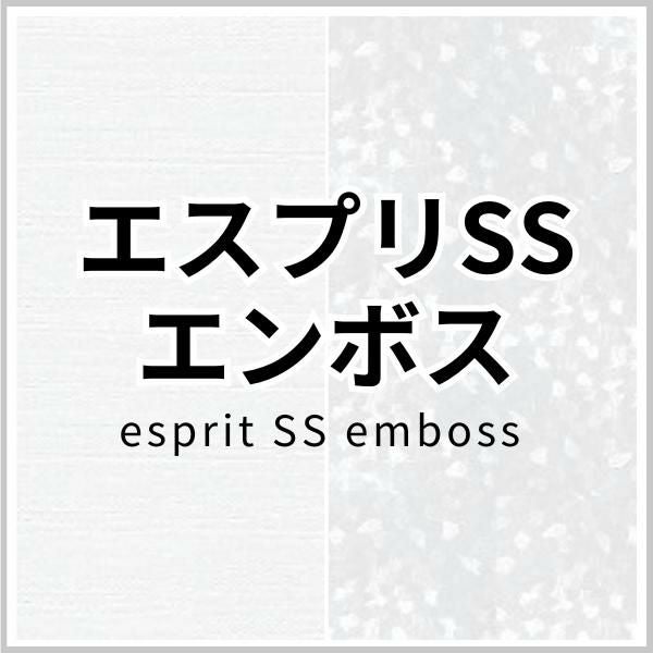 エスプリSS-Fエンボスの画像